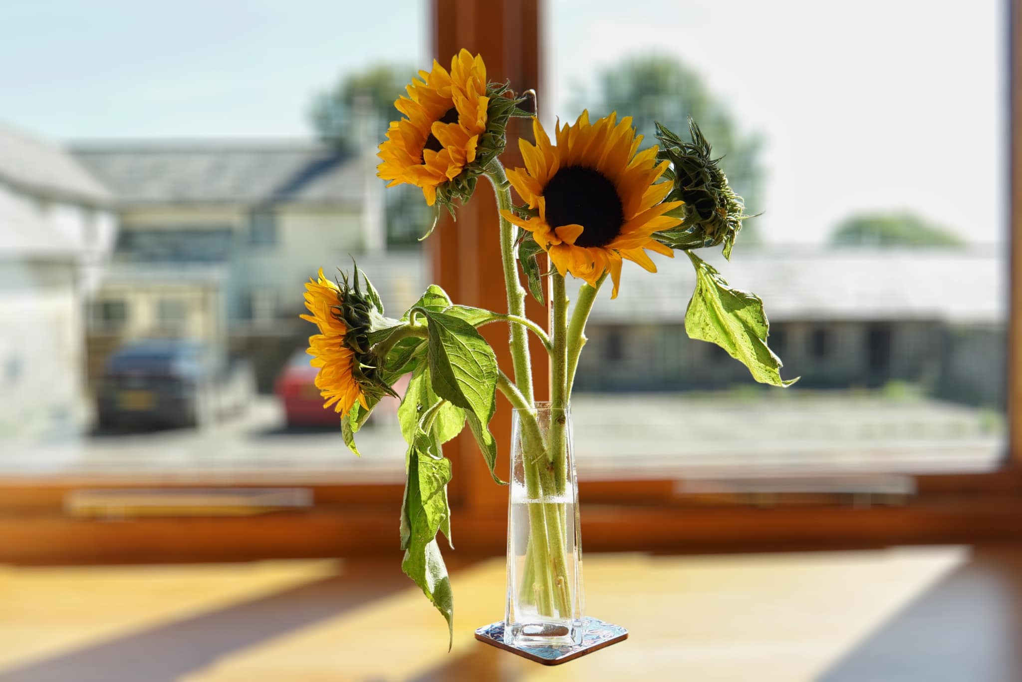 Launceston Property Photographer Covering Cornwall, Devon & the South West